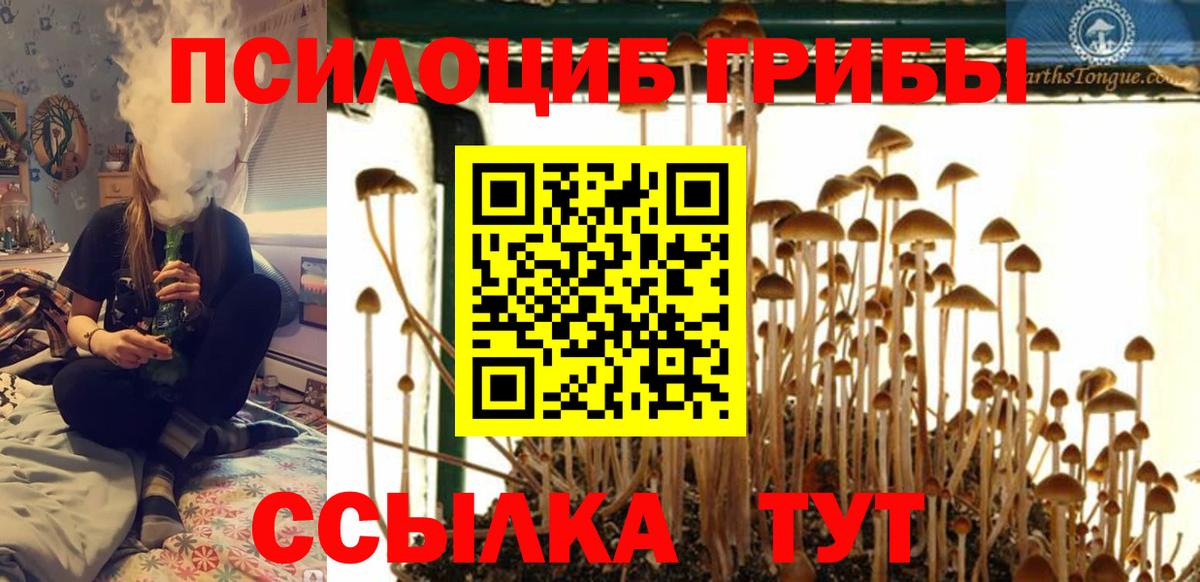Псилоцибиновые грибы Cubensis  Вход с VPN  Дзержинский 