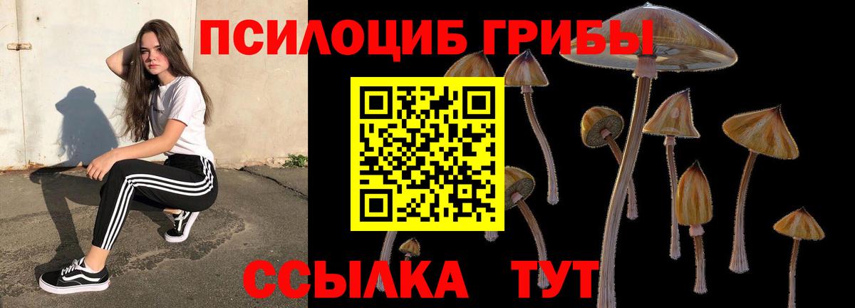 Галлюциногенные грибы мухоморы Дзержинский